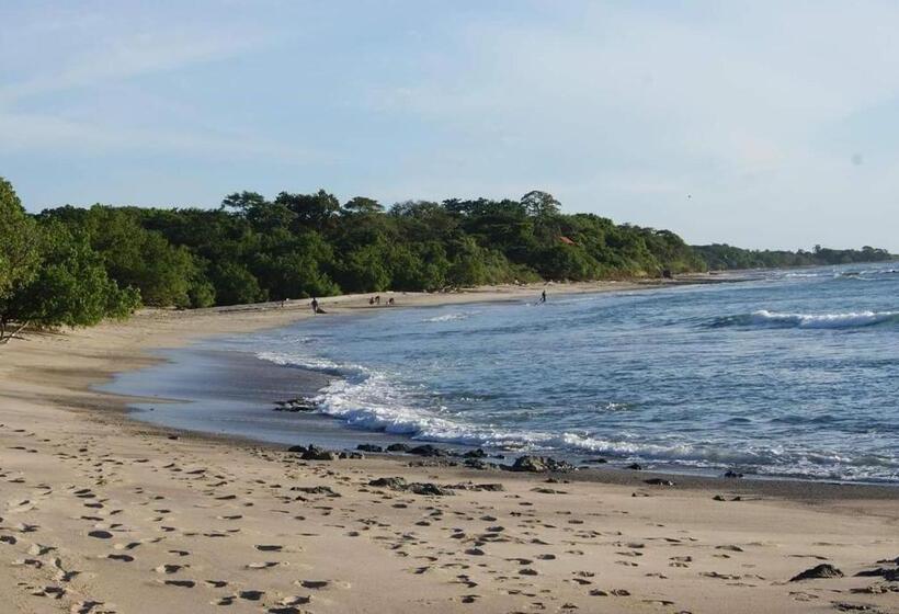 酒店 Cabinas La Playa