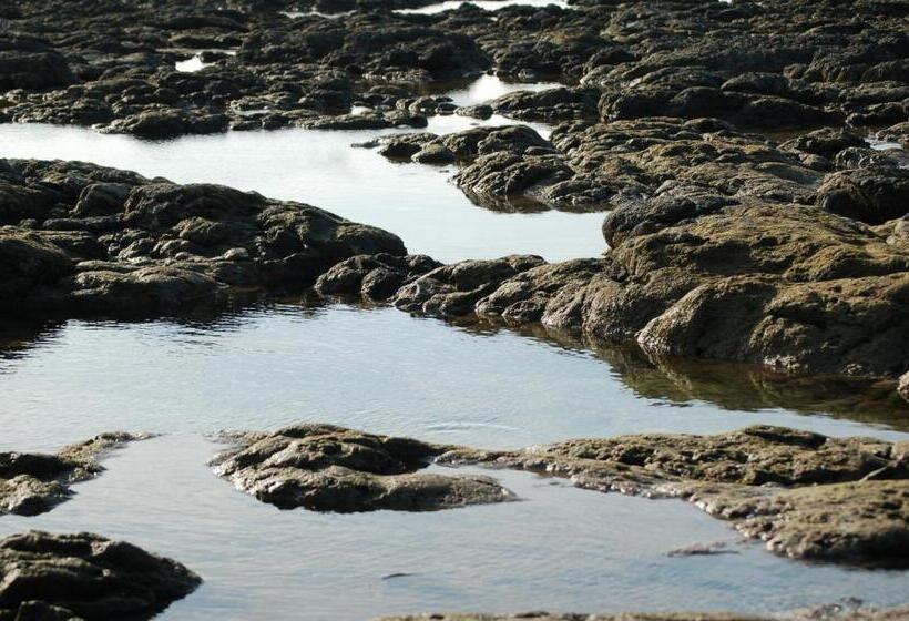 酒店 Cabinas La Playa