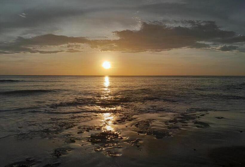 酒店 Cabinas La Playa