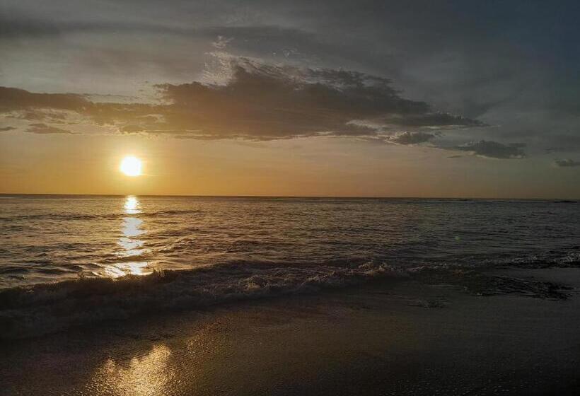 酒店 Cabinas La Playa