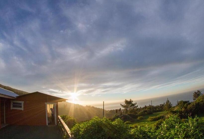 호텔 En Casa De Patricia