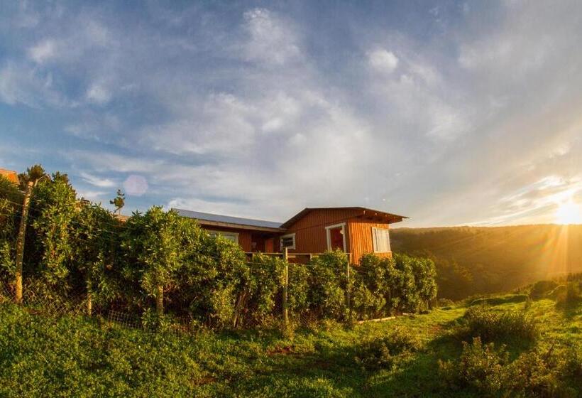 호텔 En Casa De Patricia