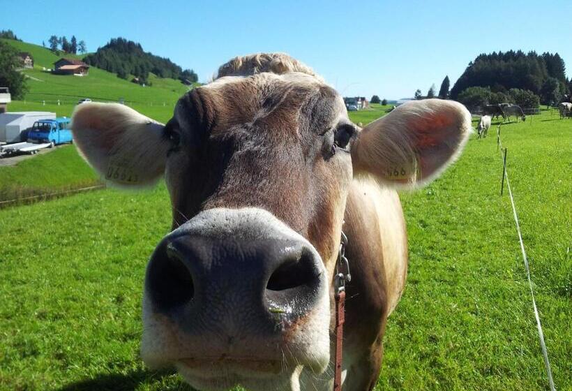 فندق Garni Traube B&b