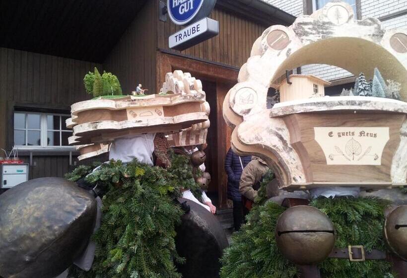 فندق Garni Traube B&b