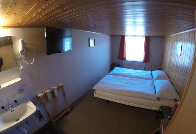 فندق Garni Traube B&b