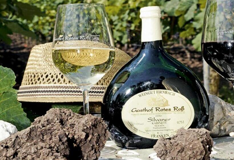 فندق Gasthof Rotes Roß