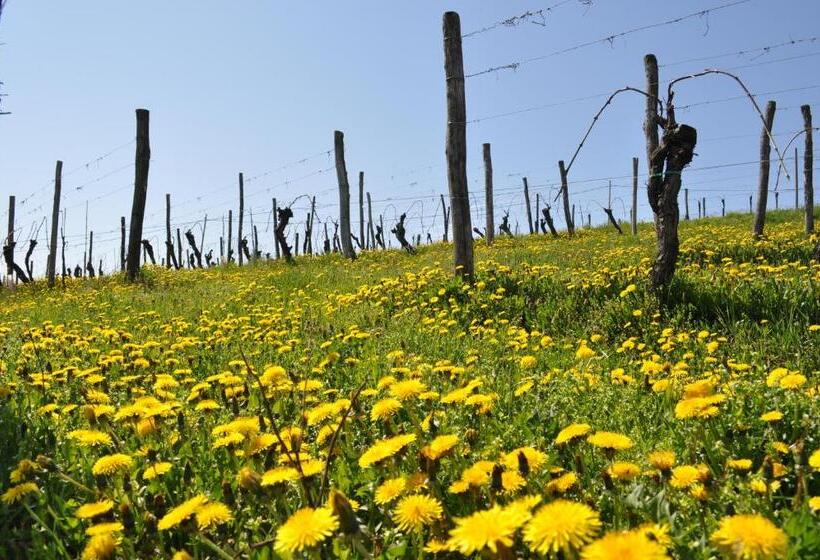 בית מלון כפרי Gigante Wine & Welcome