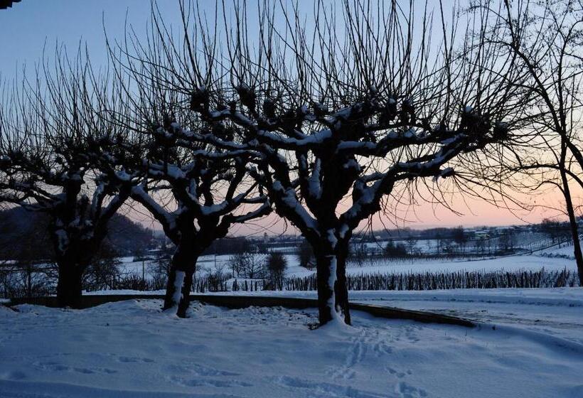 בית מלון כפרי Gigante Wine & Welcome