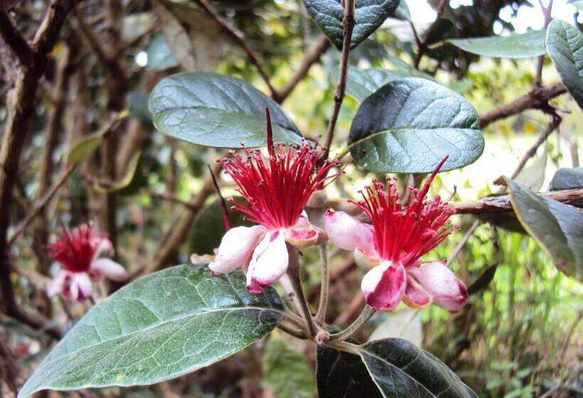 בית מלון כפרי Hacienda El Aserrio