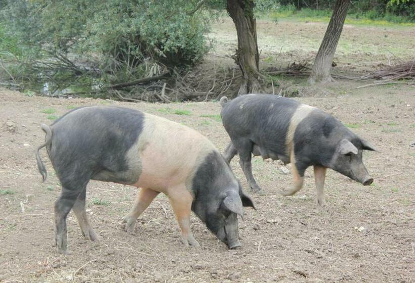 فندق L' Antico Casale