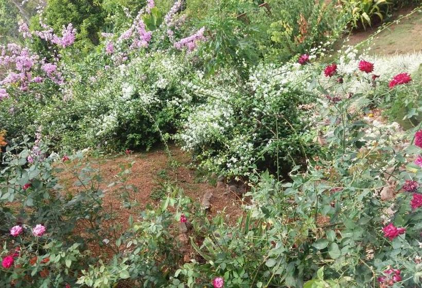 فندق La Princesa