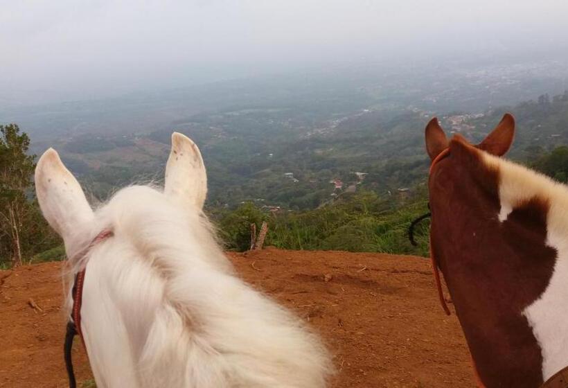 فندق La Princesa