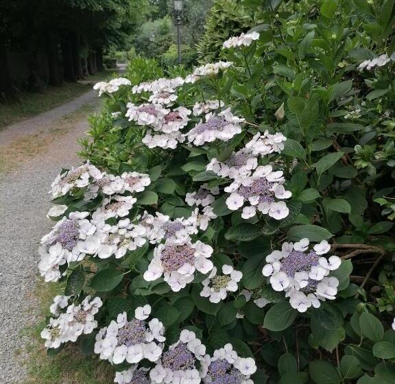 酒店 Lavanda Appartamento