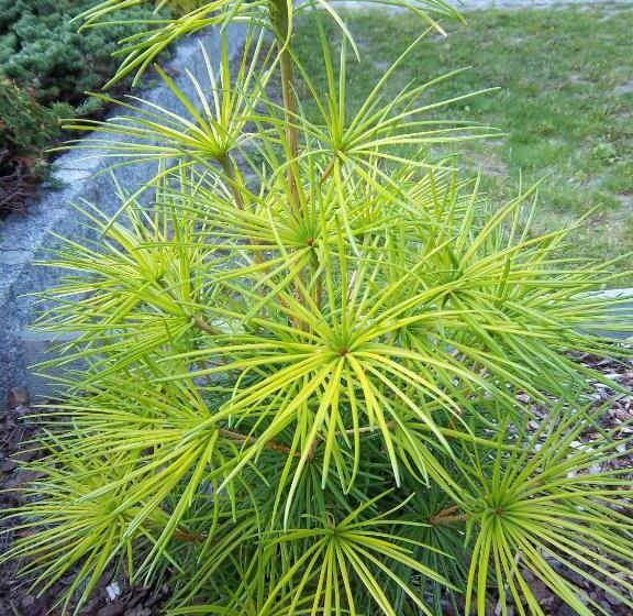 호텔 & Pension Aßmann