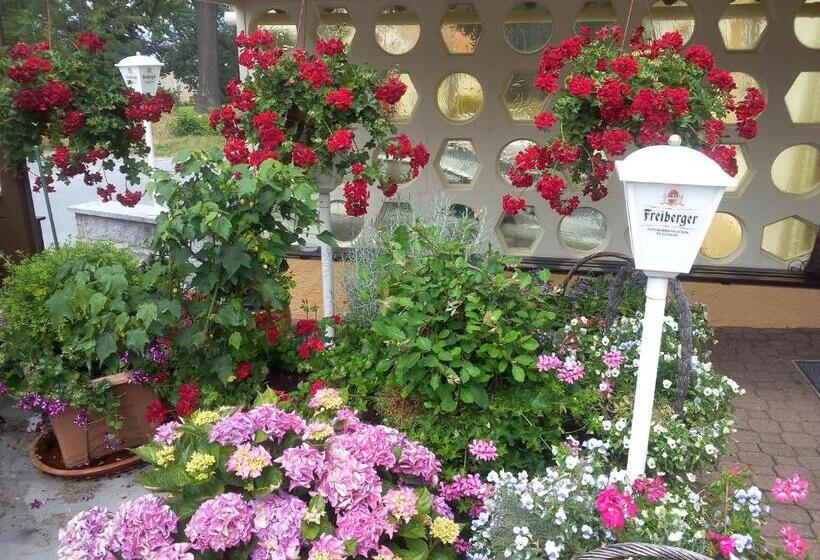 호텔 & Pension Aßmann