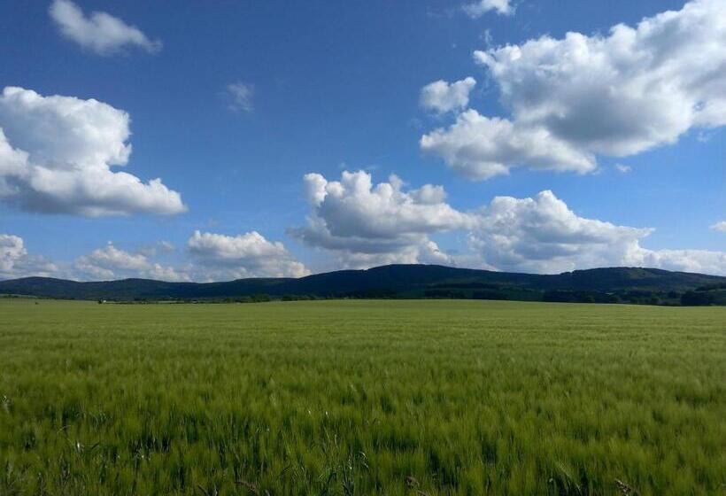 호텔 & Pension Aßmann