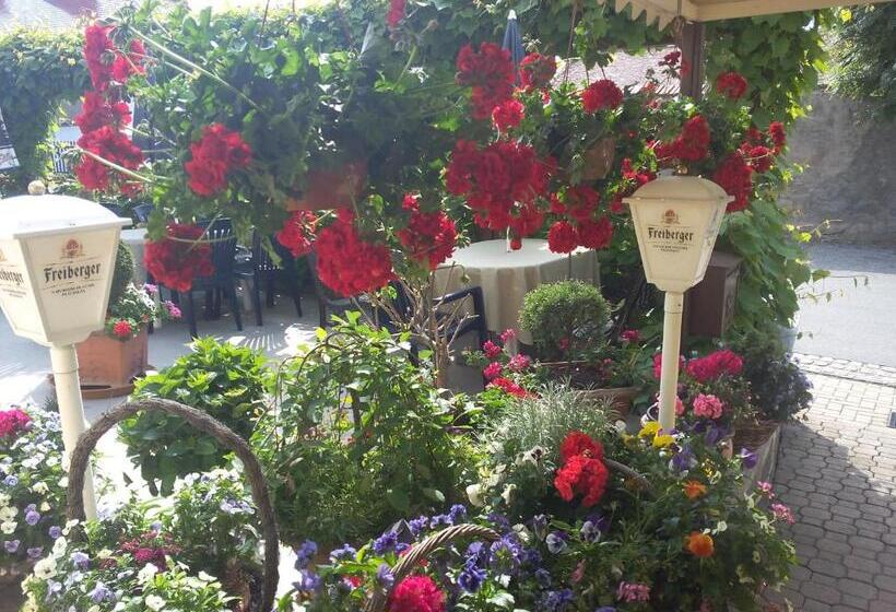 호텔 & Pension Aßmann