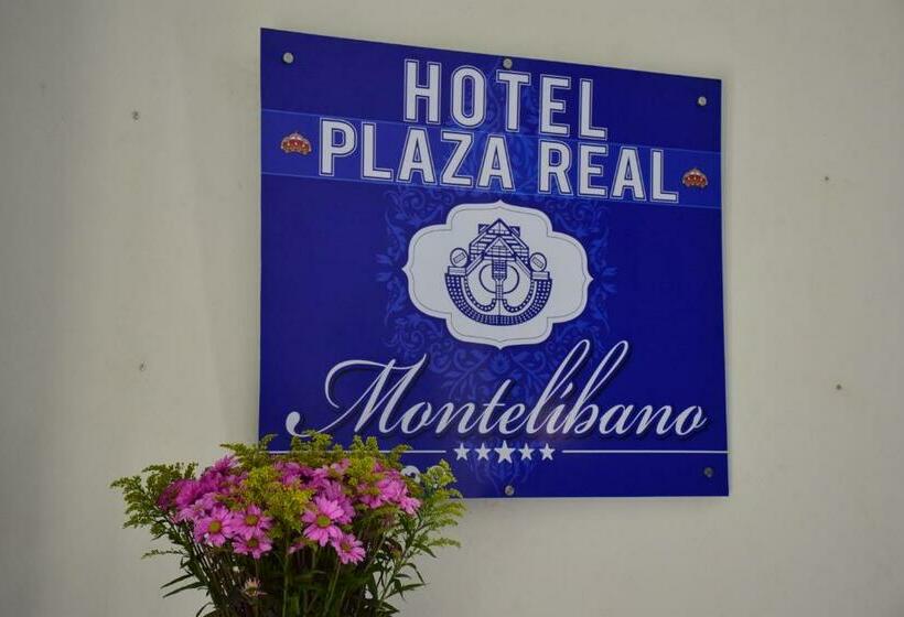 Отель Plaza Real Montelíbano