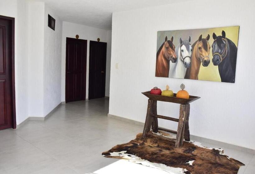 Отель Plaza Real Montelíbano