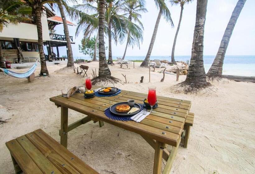 ホテル Cabana Salsipuedes