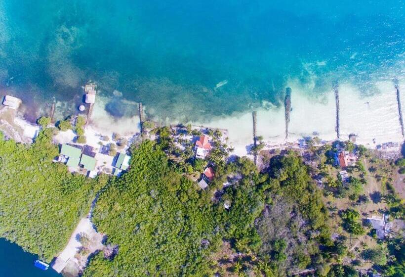 ホテル Cabana Salsipuedes