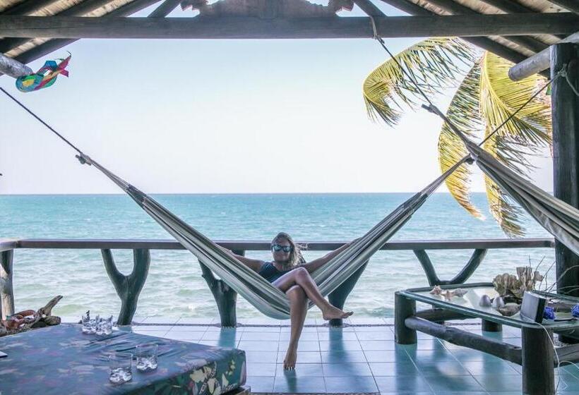 ホテル Cabana Salsipuedes