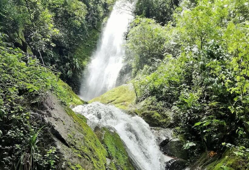 호텔 Talamanca Nature Reserve