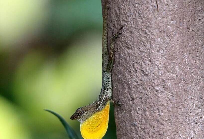 호텔 Talamanca Nature Reserve