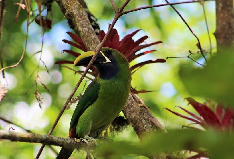 호텔 Talamanca Nature Reserve