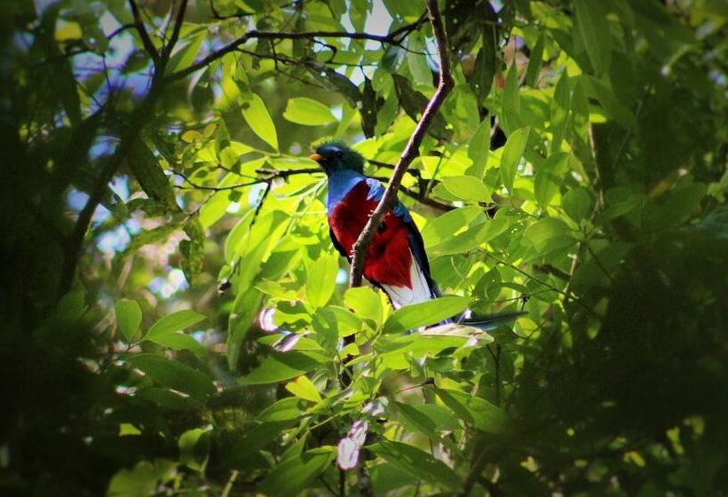 호텔 Talamanca Nature Reserve