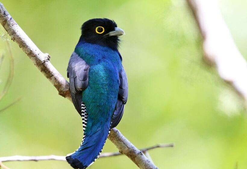 호텔 Talamanca Nature Reserve