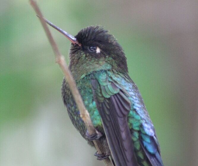 호텔 Talamanca Nature Reserve