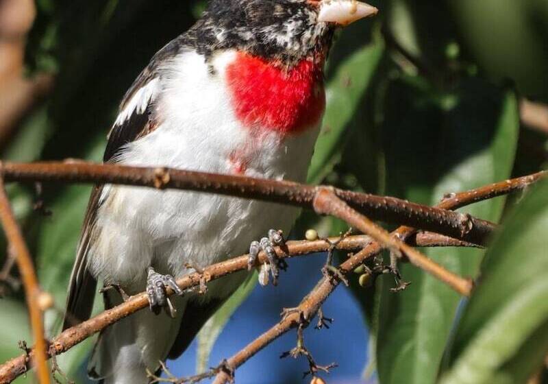 호텔 Talamanca Nature Reserve
