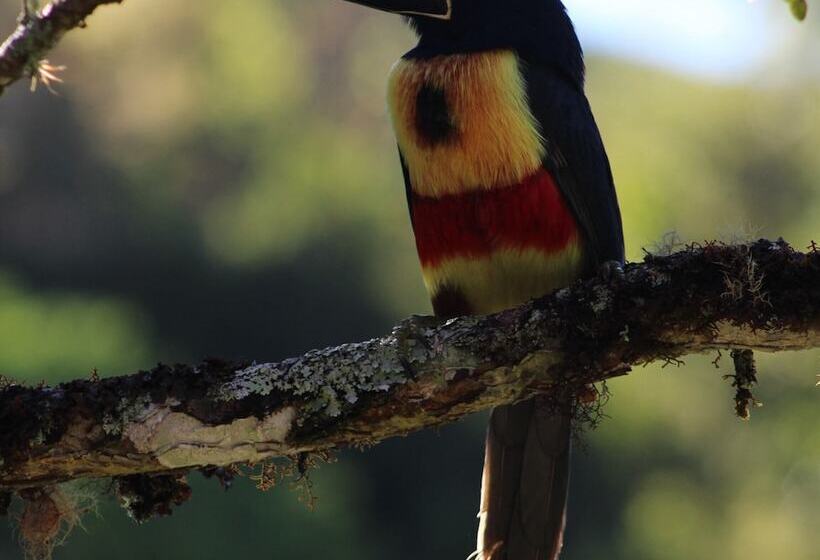 호텔 Talamanca Nature Reserve