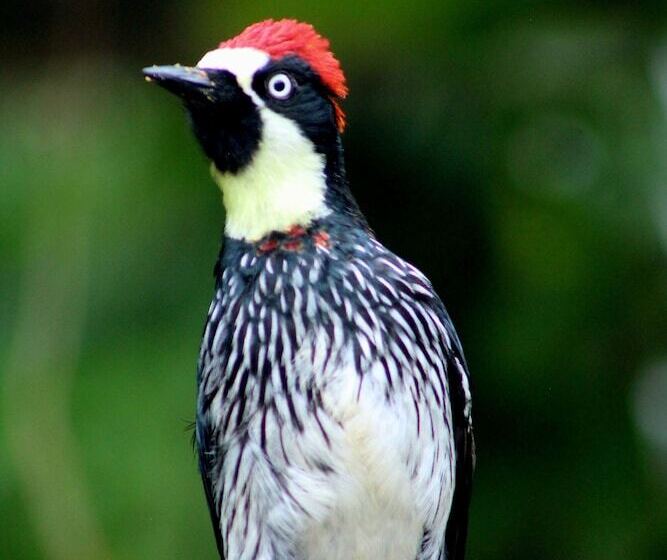 호텔 Talamanca Nature Reserve