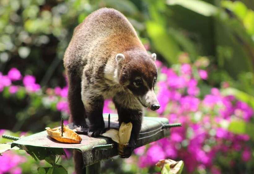 호텔 Talamanca Nature Reserve