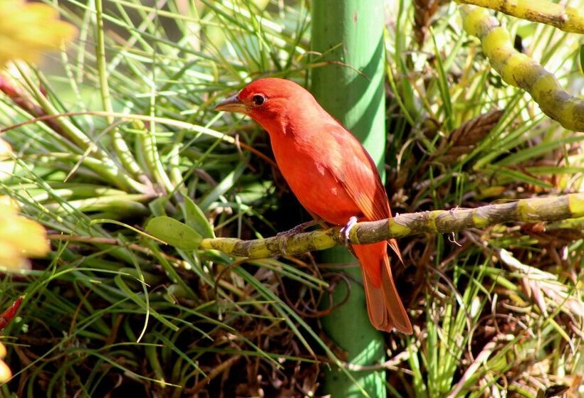 호텔 Talamanca Nature Reserve