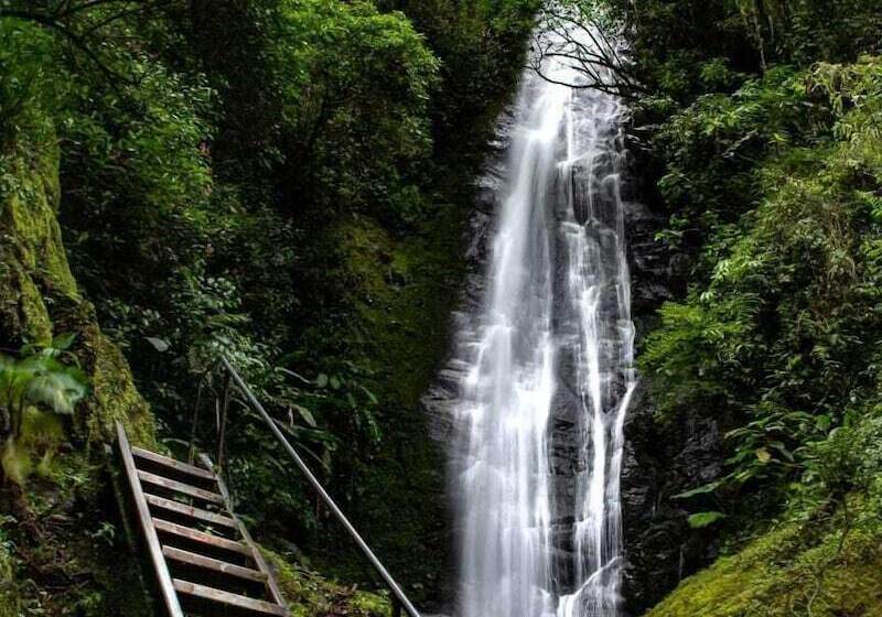 호텔 Talamanca Nature Reserve
