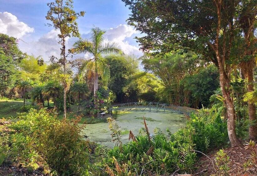 호텔 Talamanca Nature Reserve