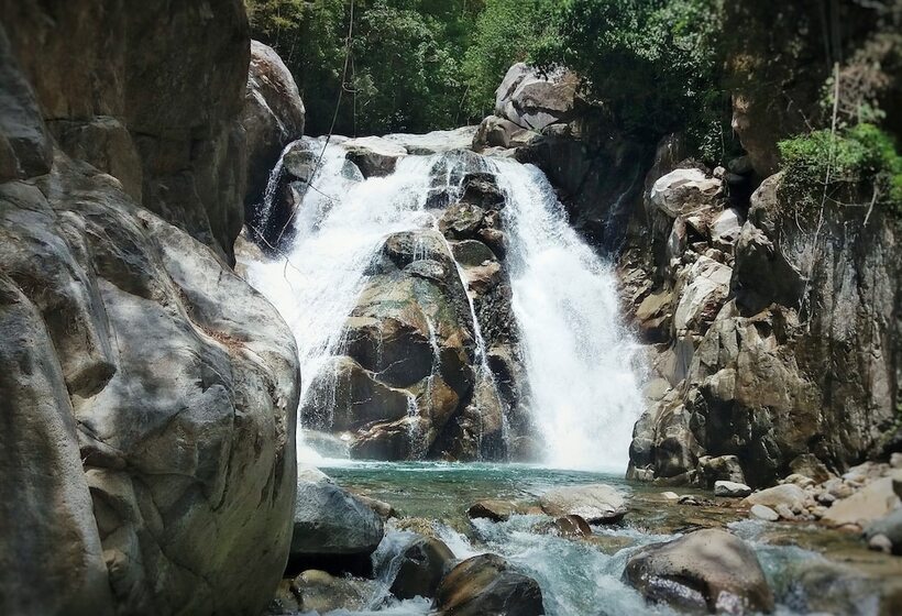호텔 Talamanca Nature Reserve