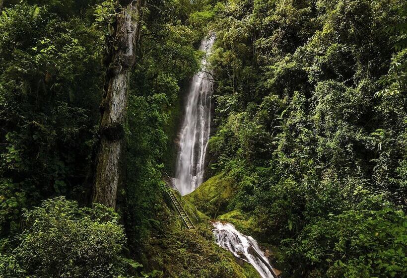 호텔 Talamanca Nature Reserve