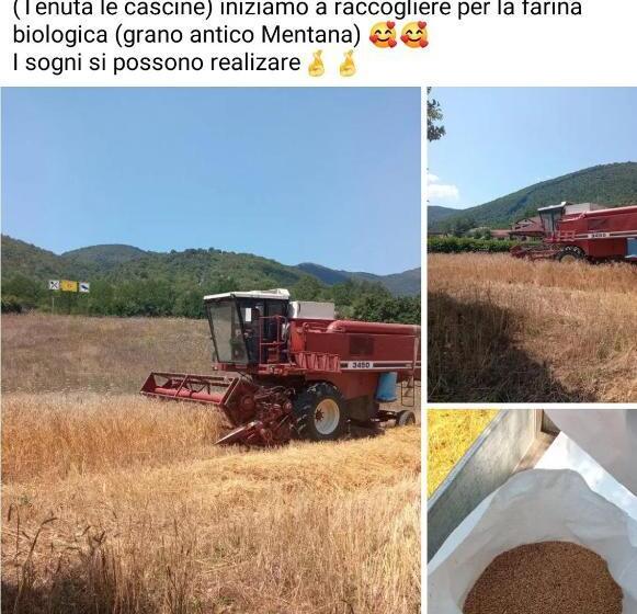 호텔 Tenuta Le Cascine