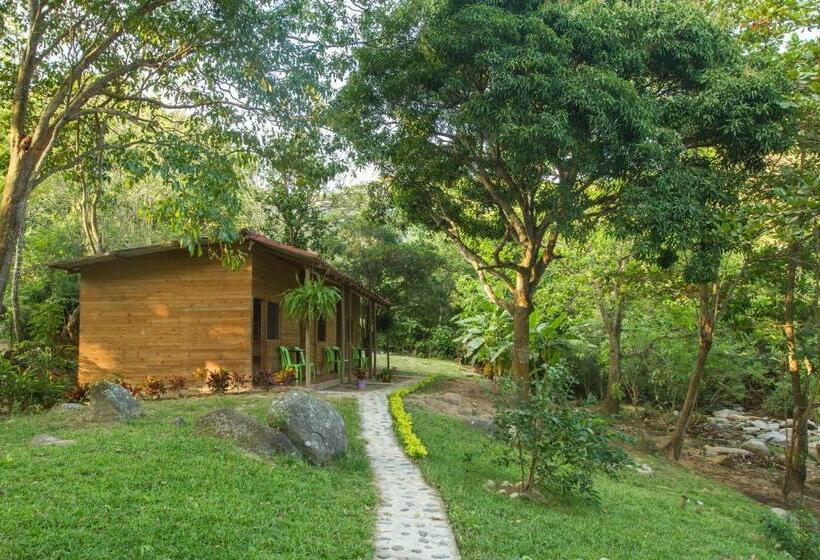 Manigua Tayrona Hostel