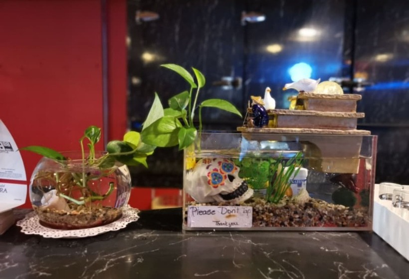 Мотель Manitou Motor Inn