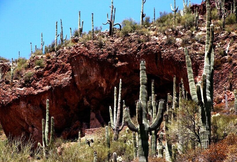 モーテル Roosevelt Resort Park