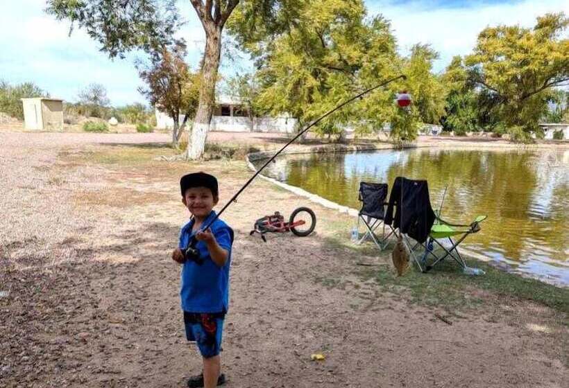 モーテル Roosevelt Resort Park