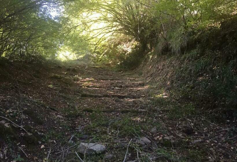 膳宿费 A Casa Da Titta