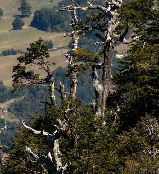 펜션 Apart Hotel Micasa