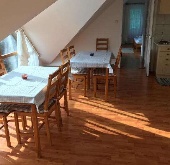 بنسيون Boróka Vendégház