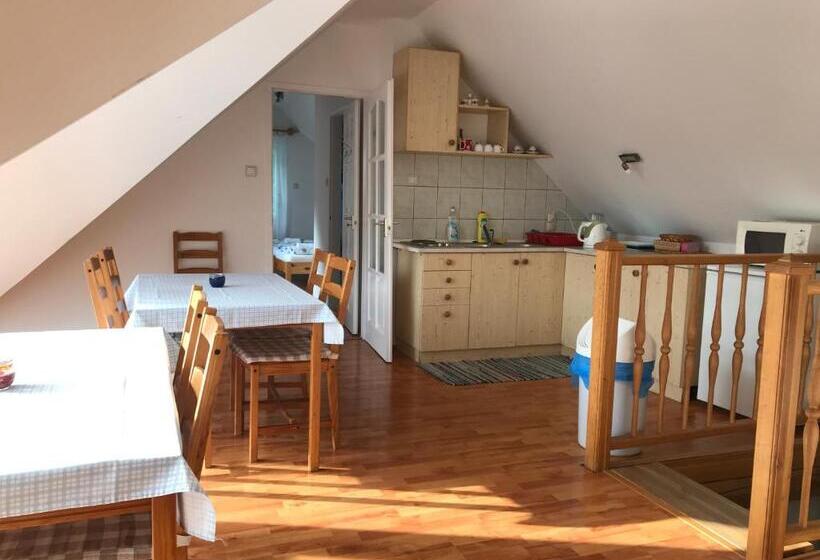 بنسيون Boróka Vendégház